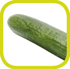 Cucumber