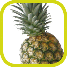 Ananas Icon - FOODCONS