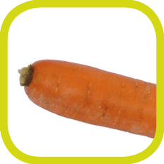 Carrot