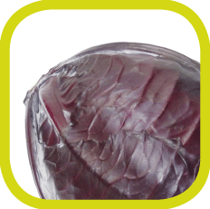 Rotkohl Icon - FOODCONS