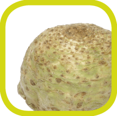 Celeriac