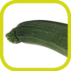 Zucchini