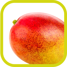 Mango Icon - FOODCONS