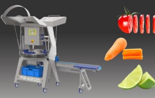 FS-3600 Maschine zur Obst- und Gemüseverarbeitung - FOODCONS