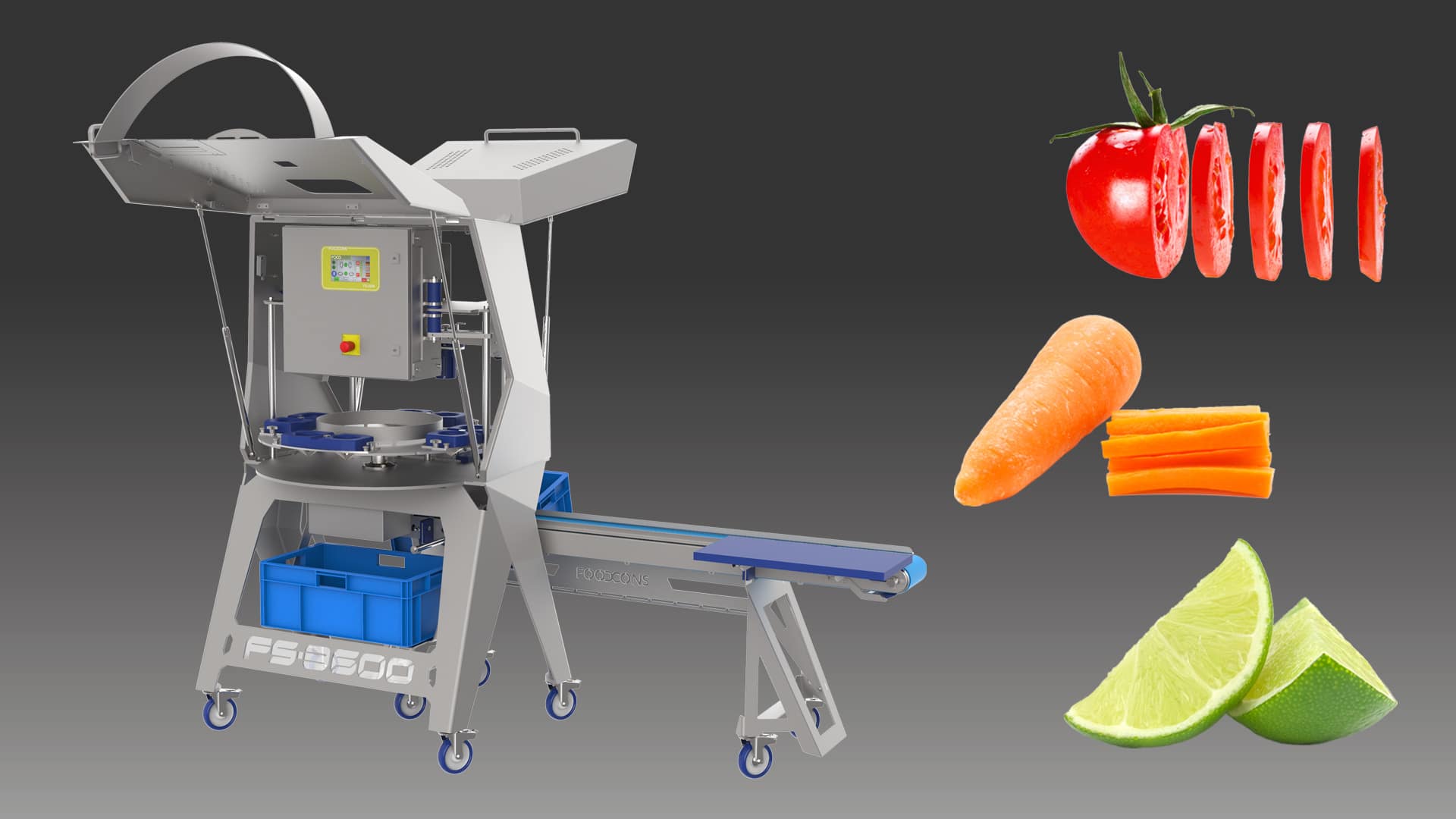 FS-3600 Maschine zur Obst- und Gemüseverarbeitung - FOODCONS